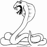 Serpente Serpenti Colorare Animali Schlange Malvorlage Disegni Schlangen Kobra Ausmalbilder Ausmalen Condividi sketch template