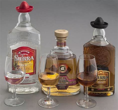 Tequila ¿cual Es Su Beneficio ¿origen ¿cómo Se Elabora Tipos Y Más