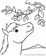 Coloring Horse Pages Farm Country Printable Kids Honkingdonkey sketch template