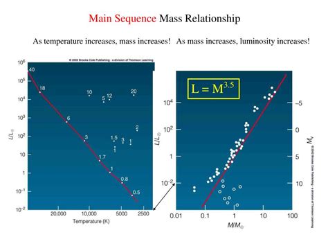 main sequence stars   lifetimes powerpoint    id