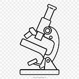 Microscope Magnification Magnify Ovaries Microscopio Clipartkey sketch template