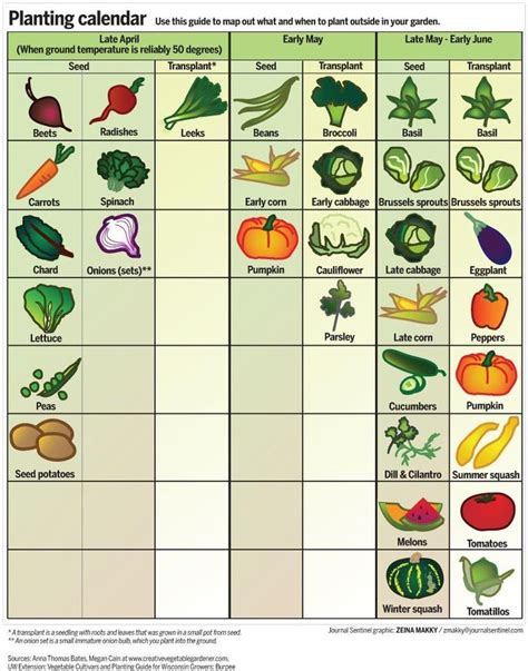 calendar  planting vegetables  garden vegetable garden planning