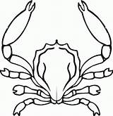 Crab Krebs Krab Krabbe Horseshoe Kolorowanki Crabs Ausmalbild sketch template