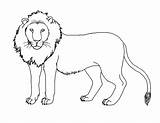 Coloring Cougar Lion Mountain Getdrawings Pages sketch template