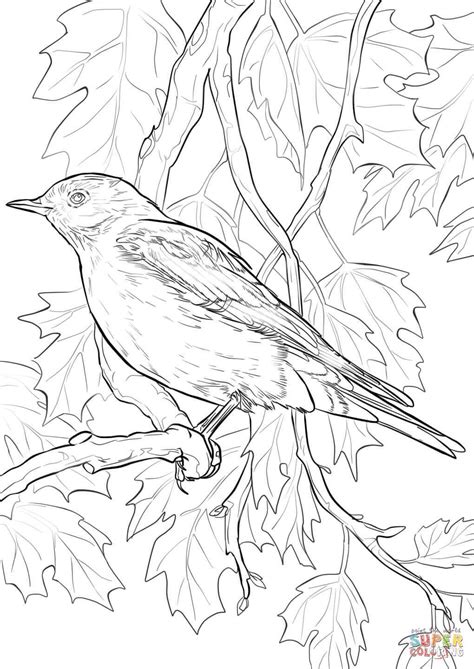 mountain bluebird coloring page  printable coloring pages bird