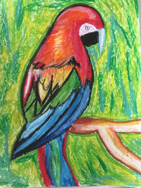 parrot art starts