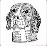 Beagle Zentangle Stilizzato Testa Lo Lepre Stylized Debuda Rysunek Obraz Hunde Coloreados sketch template