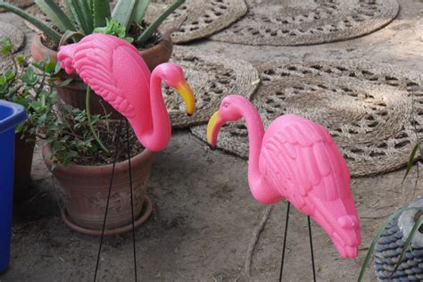 wonderland alice  wonderland flamingos alice  wonderland