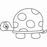 Coloring Turtle Dot Polka Pages Surfnetkids sketch template