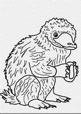 Niffler Beasts Tierwesen Phantastische Malvorlagen Zeichnung Creature Nifflers sketch template