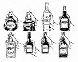 Bottles Bottiglie Alcool Vetro Emblems Hops Wheat Beer Vectorpocket Engraving Vettore Insieme sketch template