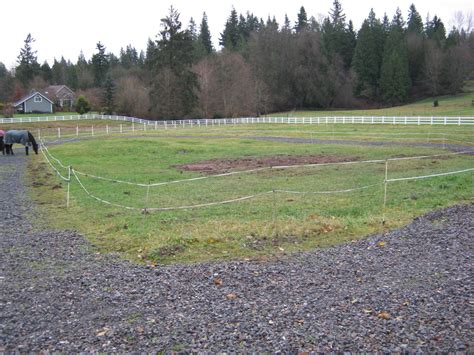 track paddocks combating horse boredom snohomish conservation district