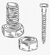 Nuts Bolts Screw sketch template