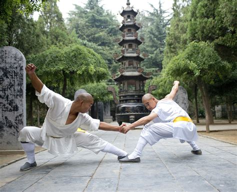 southern shaolin temple searching  chinas real contribution