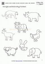Animals Farm Activity Coloring Sheets Worksheet Worksheets Sheet Pages English Language Beginner Popular sketch template