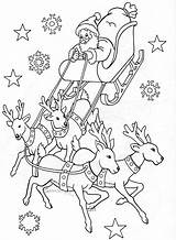 Reindeer Colouring Sleigh Noel Natale Disegni Renne Renos Papai Wonder Colorare sketch template