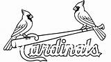 Louisville Cardinals sketch template