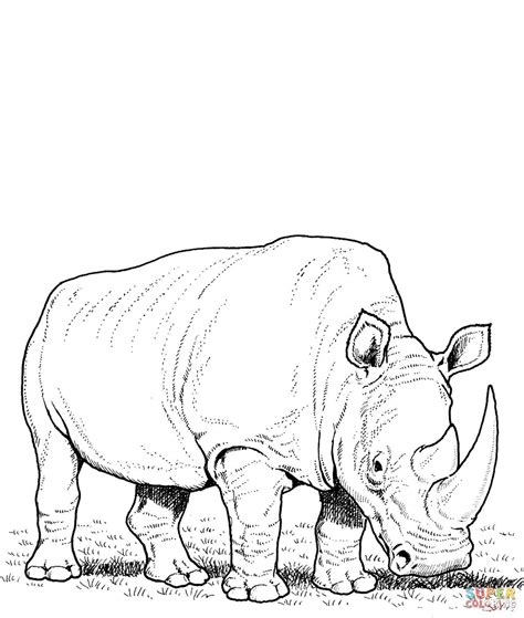 rhino coloring page coloring pages