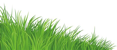 lawn clip art silhouette grass png    transparent lawn png