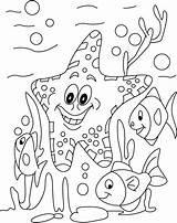 Coloring Starfish Fish Pages Kids Printable Along Other Sea Sheets Animal Ocean Colouring Cartoon Star Letscolorit Choose Board sketch template