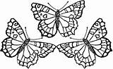 Coloring Printable Pages Butterflies Adult Pdf Print sketch template