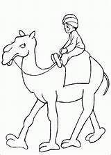 Camel sketch template