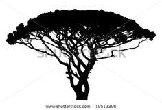 trees images  pinterest pine tree silhouette silhouettes  family trees