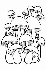Cahier Coloriage Champignons Aux Cogumelos Rabiscos Vecteur Funghi Scarabocchi Colorare Vetor sketch template