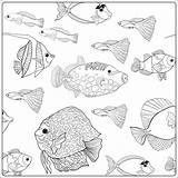 Aquarium Fish Drawing Kids Coloring Getdrawings Sea sketch template