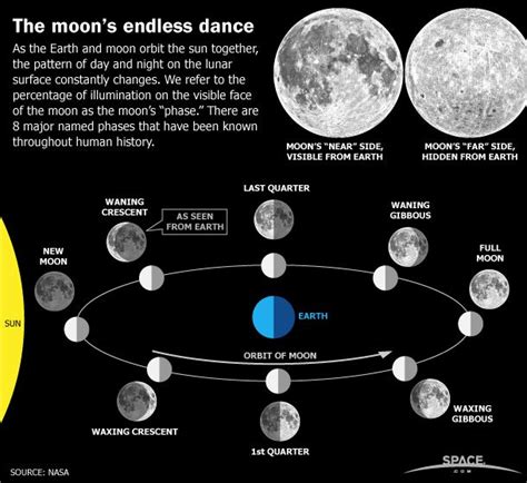 earths moon phases monthly lunar cycles infographic space