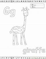 Giraffe Coloring Edu Pages Alphabets Color Online Printable Education sketch template
