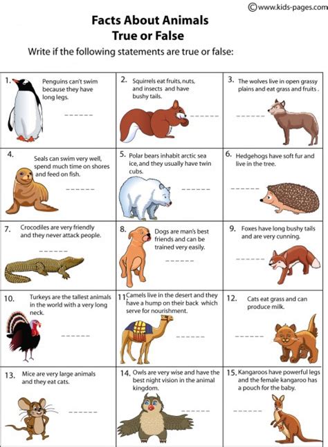 animals facts worksheet