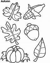 Coloring Pages Autumn Preschoolers Leaves Preschool Popular sketch template