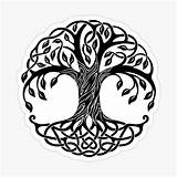 Celtic Tatouage Yggdrasil Baum Symmetry Lebens Celtique Rune Keltische Viking Dessin Symbole Themindfool Vippng sketch template