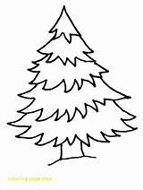 Tree Coloring Pine Pages Getcolorings Color Printable Christmas sketch template