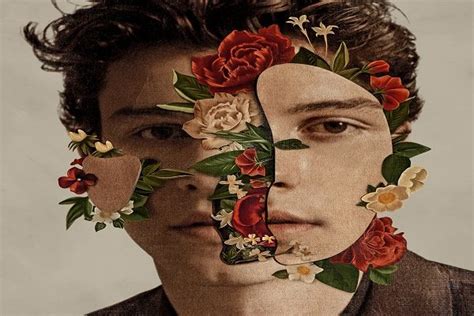 shawn mendes  titled album