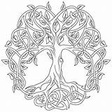 Celtic Coloring Pages Tree Life sketch template