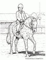 Coloring Horseback Familyeducation Americas Very sketch template