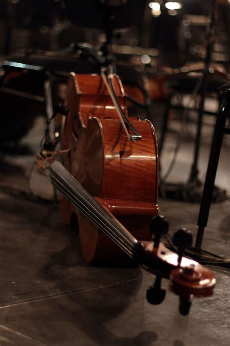 violoncello violoncello instrument   concert laying   floor cello  classical