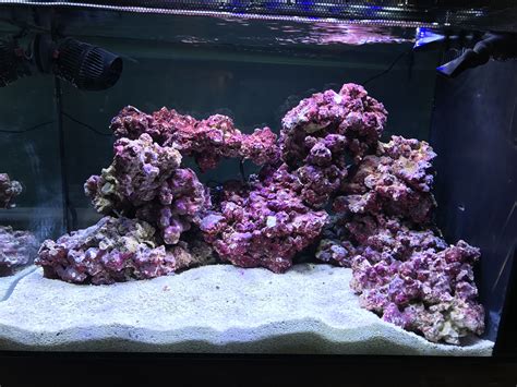 saltwater tank aquascape aquascaping forum nano reef community