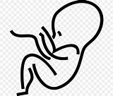 Coloring Pregnancy Cartoon Embryo Drawing Favpng sketch template