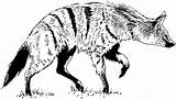 Hyena Supercoloring sketch template