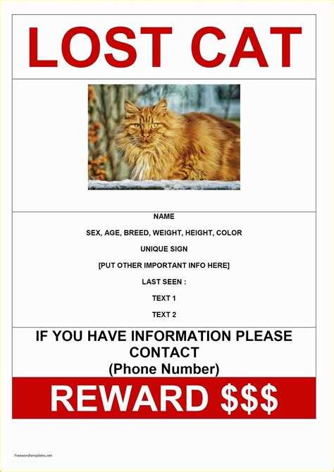 lost cat poster template   missing flyer template yourweek
