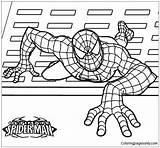 Pages Ultimate Spiderman Coloring Spider Man Color sketch template