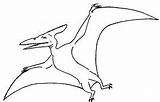 Dimorphodon Pteranodon sketch template