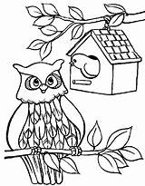 Coloring Pages Bird House Owl Birdhouse Color Print Printable Place Sheet Template Getdrawings Getcolorings Button Through Tocolor sketch template