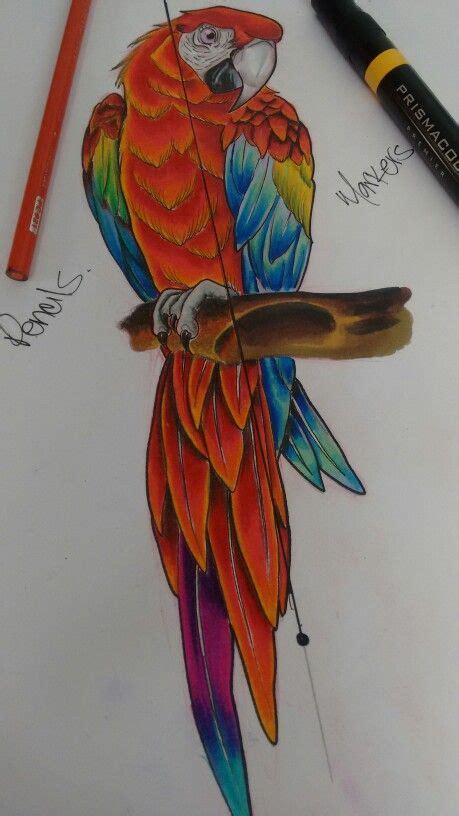 parrot markers  pencils