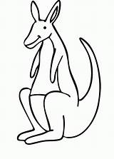 Kangaroo Coloring Color Pages Printable Popular sketch template