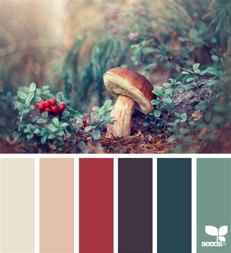 nature hues seeds color color palette design color schemes colour palettes