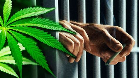 will legal weed free people from jail youtube